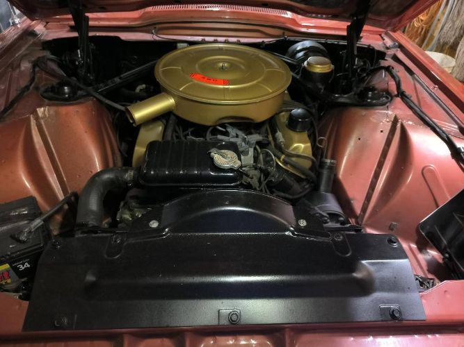 Ford-Thunderbird-1965-Copper-14