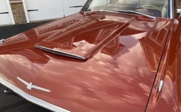 Ford-Thunderbird-1965-Copper-2
