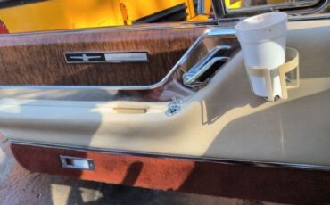 Ford-Thunderbird-1965-Copper-20