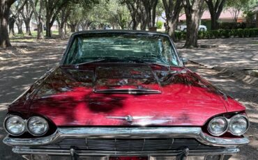 Ford-Thunderbird-1965-Coupe-8