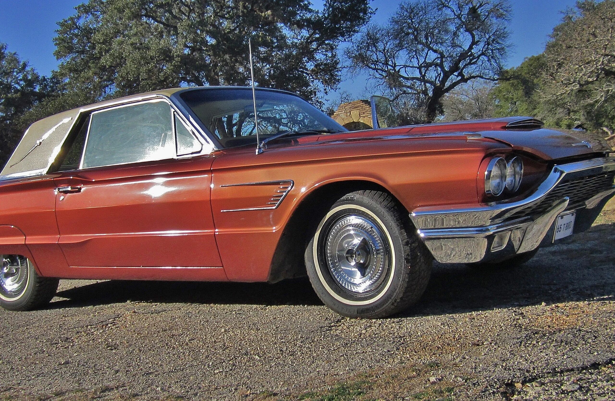 Ford-Thunderbird-1965-Other-White-18
