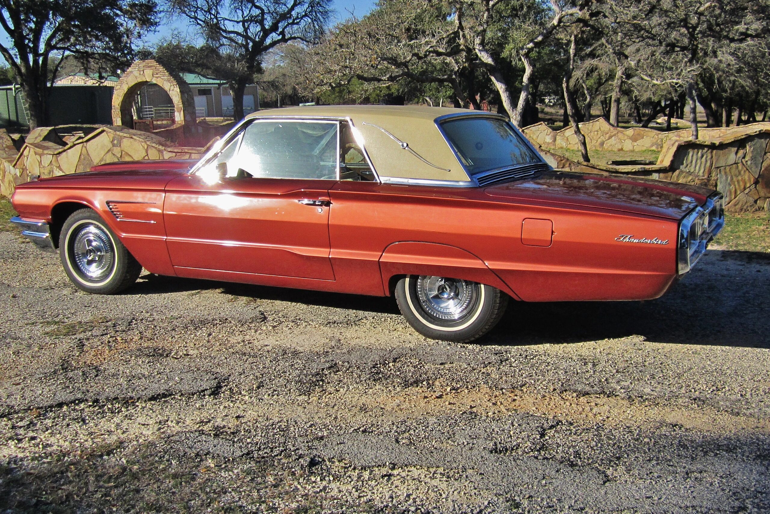 Ford-Thunderbird-1965-Other-White-2