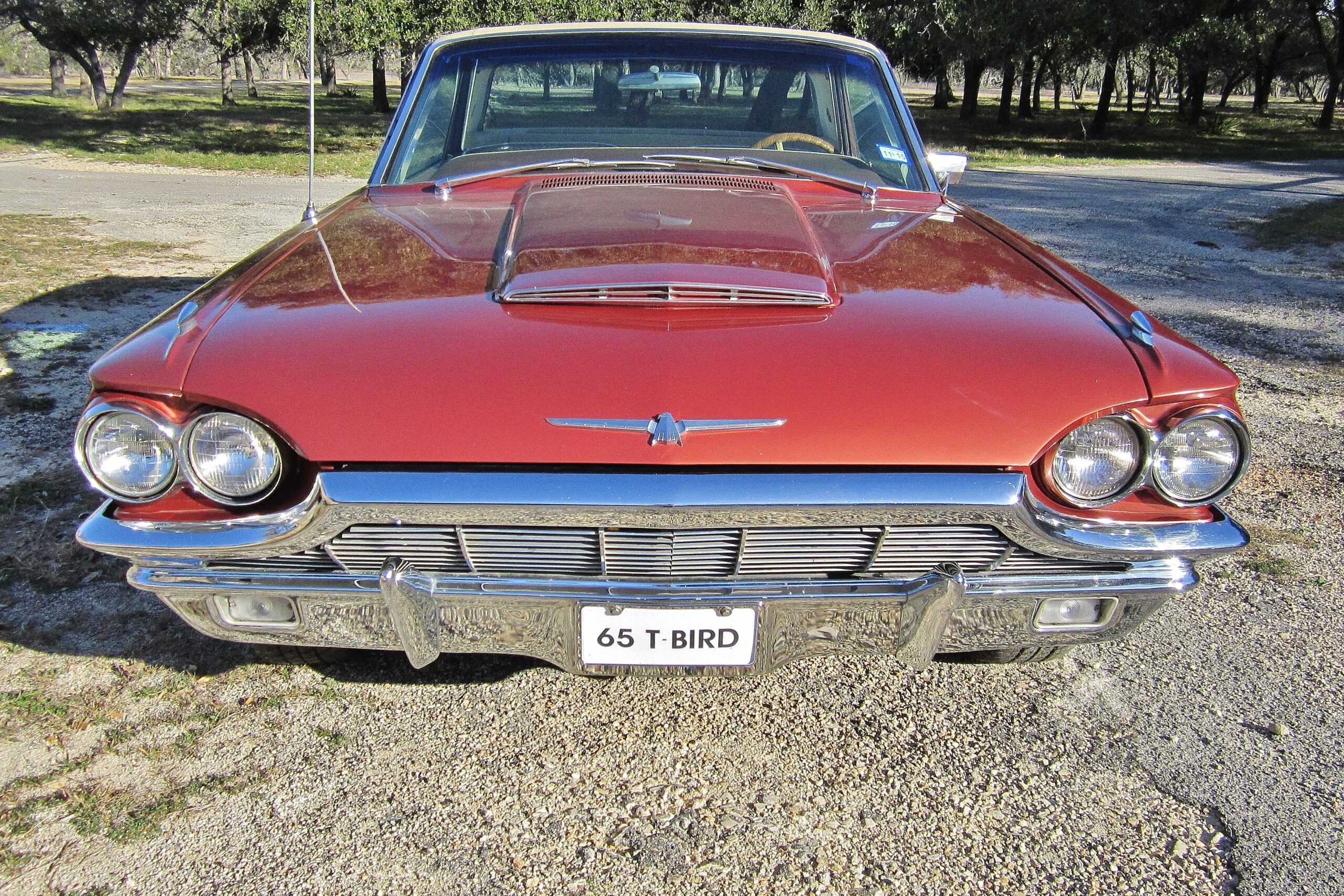 Ford-Thunderbird-1965-Other-White-23