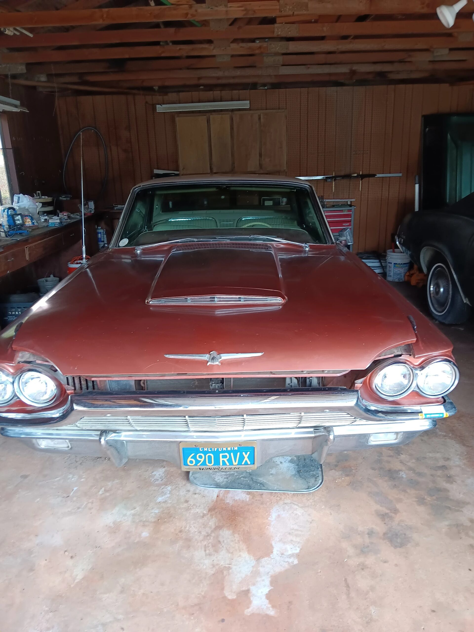 Ford-Thunderbird-1965-Other-White