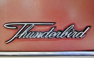 Ford-Thunderbird-1965-Other-White-3