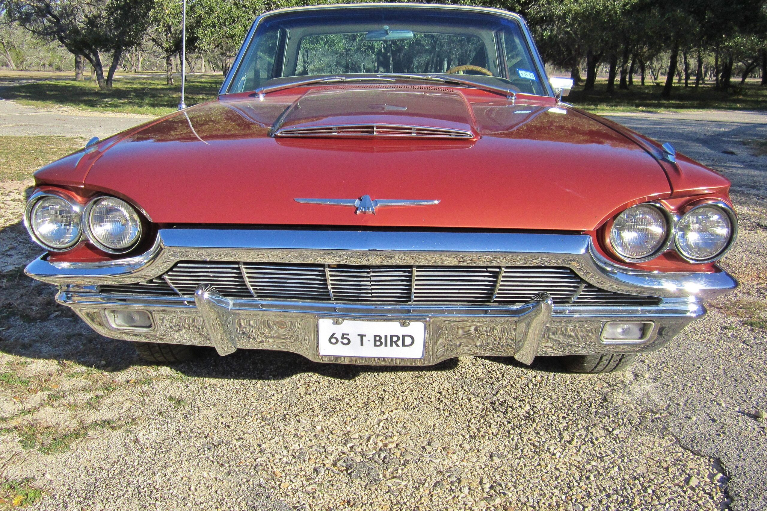 Ford-Thunderbird-1965-Other-White-9