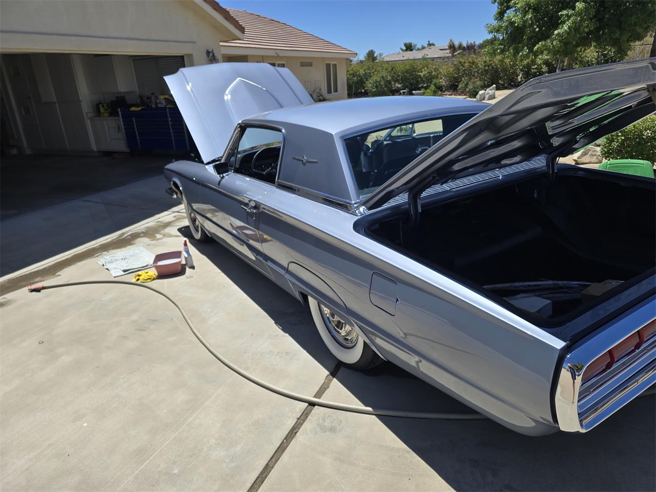 Ford-Thunderbird-1966-Chroma-Blue-Black-34
