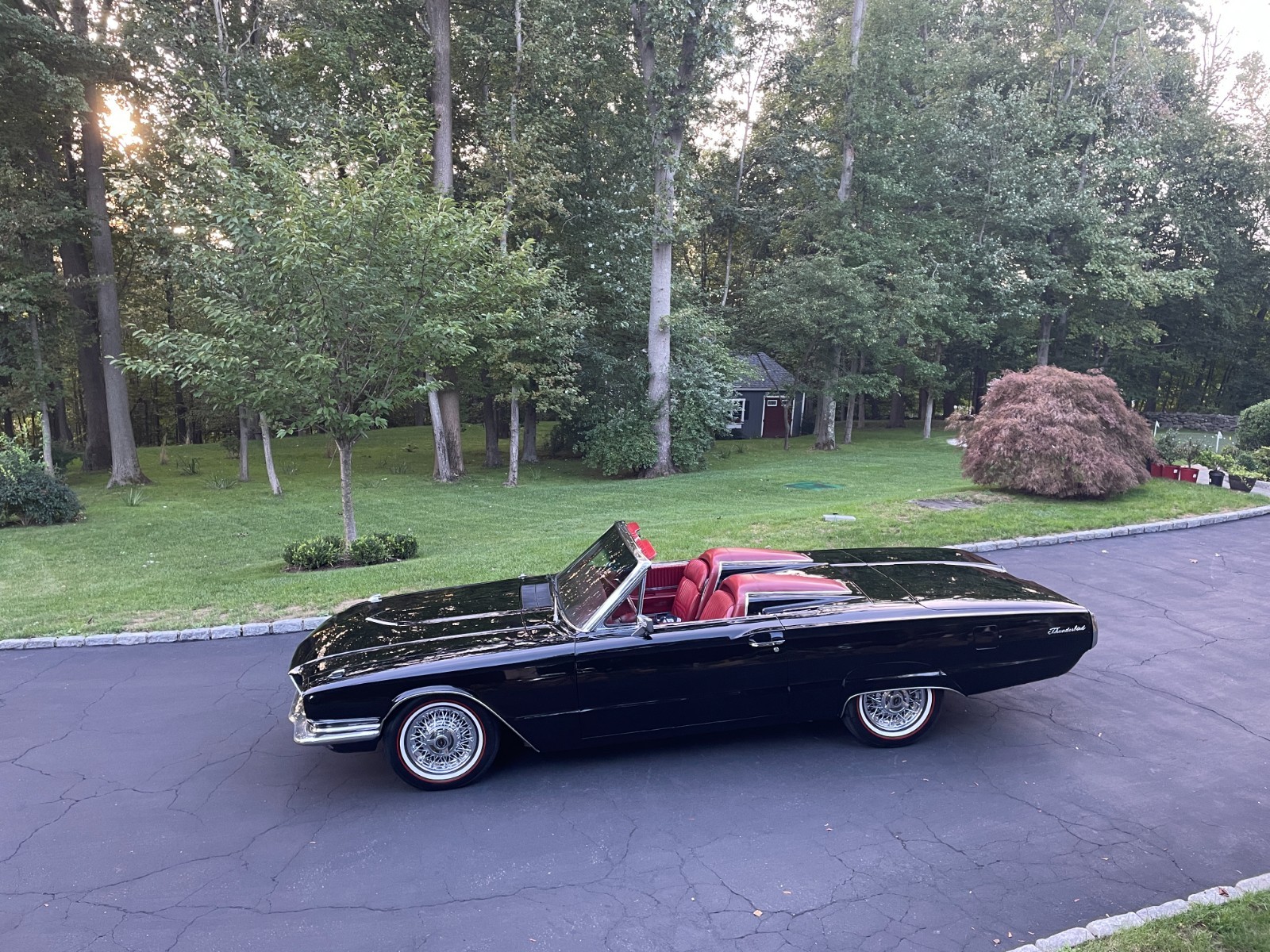 Ford Thunderbird 1966 Convertible