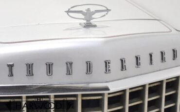 Ford-Thunderbird-1976-Coupe-16