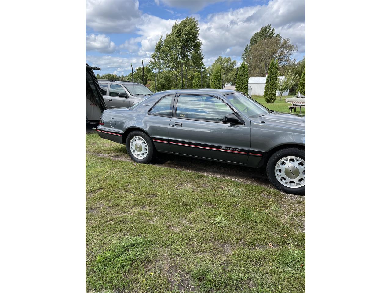 Ford-Thunderbird-1987-Grey-Blue-1