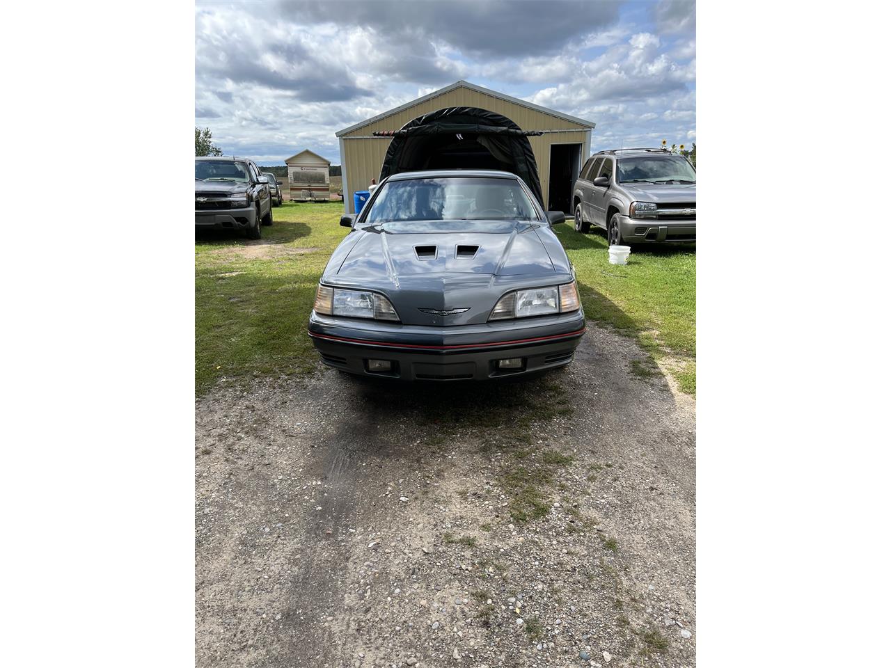 Ford-Thunderbird-1987-Grey-Blue