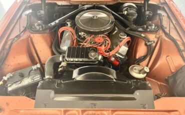 Ford-Thunderbird-neiman-marcus-1965-Orange-Beige-4
