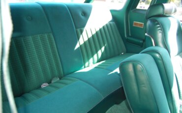 Ford-Thunderbird-sport-1977-Green-Green-11