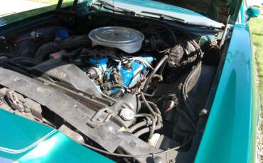 Ford-Thunderbird-sport-1977-Green-Green-15