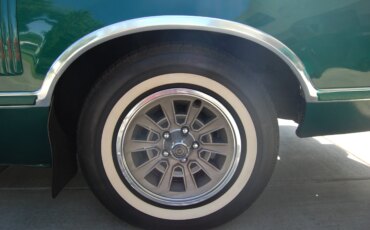 Ford-Thunderbird-sport-1977-Green-Green-7