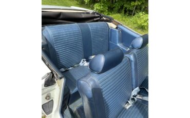 Ford-Torino-1970-Light-Blue-Dark-Blue-6