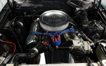 Ford-Torino-1970-Unripened-Apple-Meta-Dark-Green-14