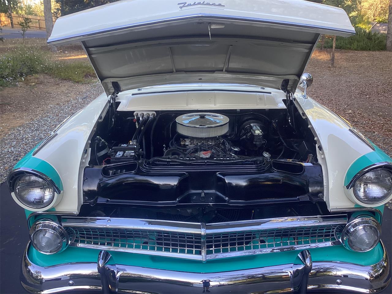 Ford-Victoria-1955-Teal-and-white-Teal-and-white-15