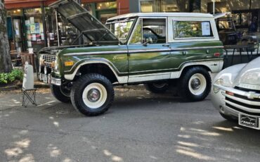 Ford-bronco-1976-green-3