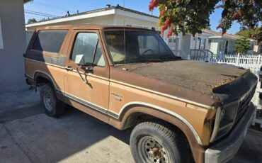 Ford-bronco-1982-1