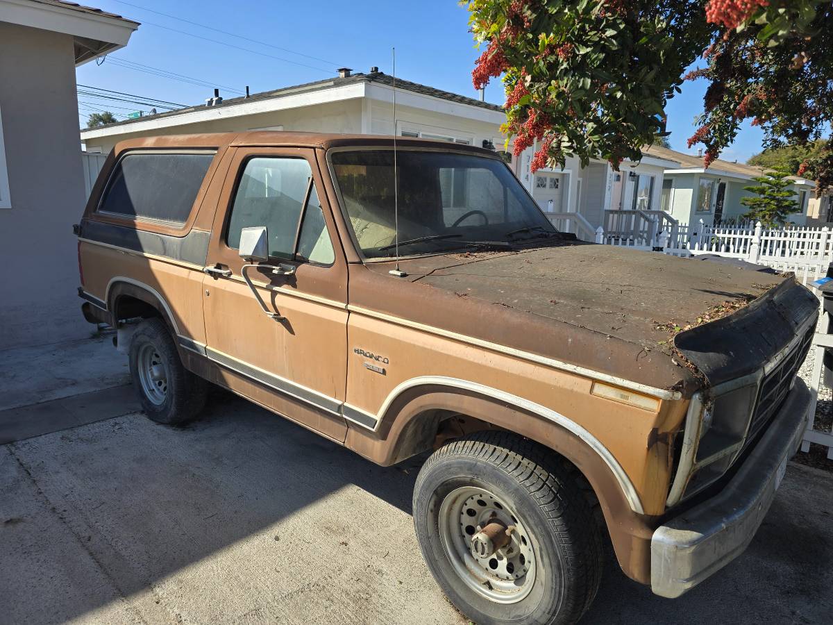 Ford-bronco-1982-1