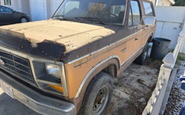 Ford-bronco-1982-2