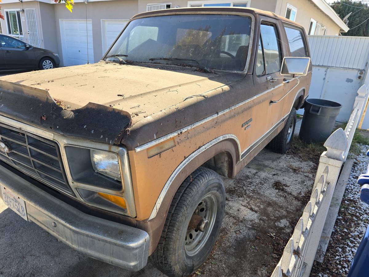 Ford-bronco-1982-2