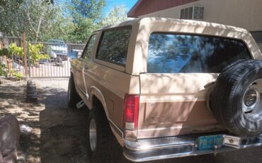Ford-bronco-1986-brown-1