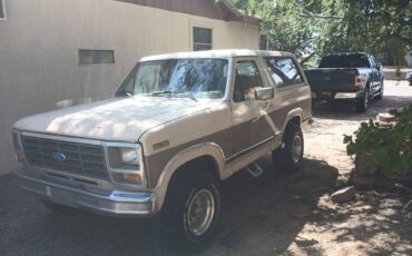 Ford-bronco-1986-brown-2