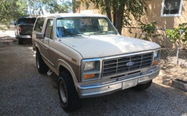 Ford-bronco-1986-brown-3