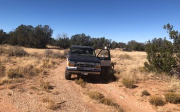 Ford-bronco-2-4x4-1989-1