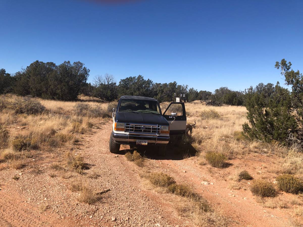 Ford-bronco-2-4x4-1989-1