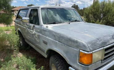 Ford-bronco-4x4-1991-grey-1