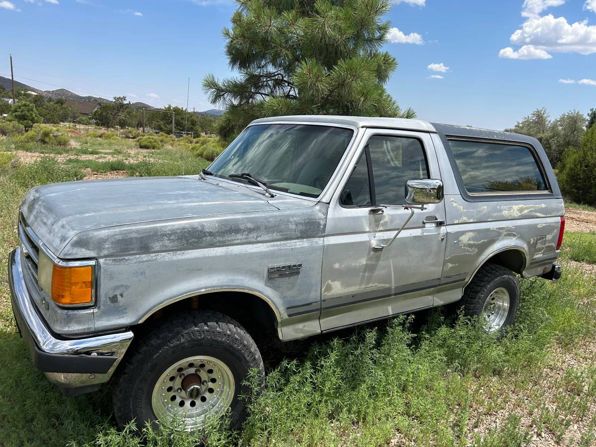 Ford-bronco-4x4-1991-grey-2