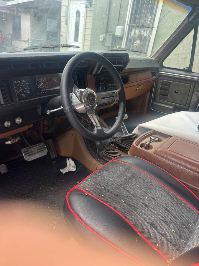 Ford-bronco-81-1981-white-12