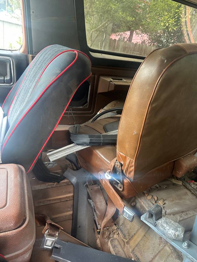 Ford-bronco-81-1981-white-4