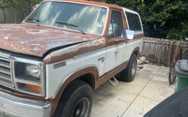 Ford-bronco-81-1981-white-6