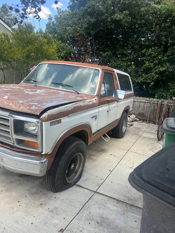 Ford-bronco-81-1981-white-6