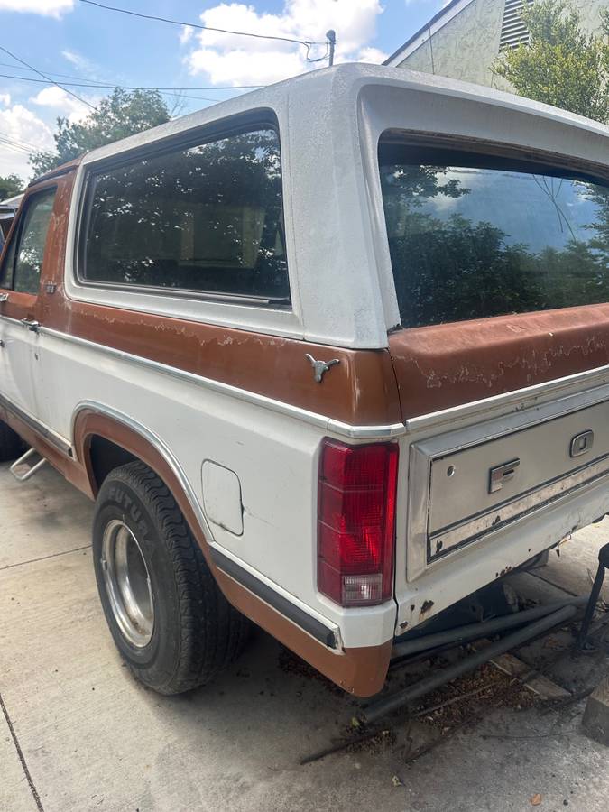 Ford-bronco-81-1981-white-7