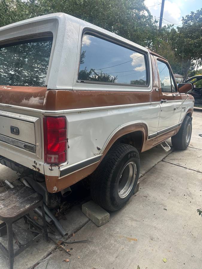 Ford-bronco-81-1981-white-8