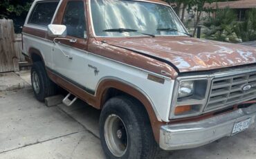 Ford-bronco-81-1981-white-9
