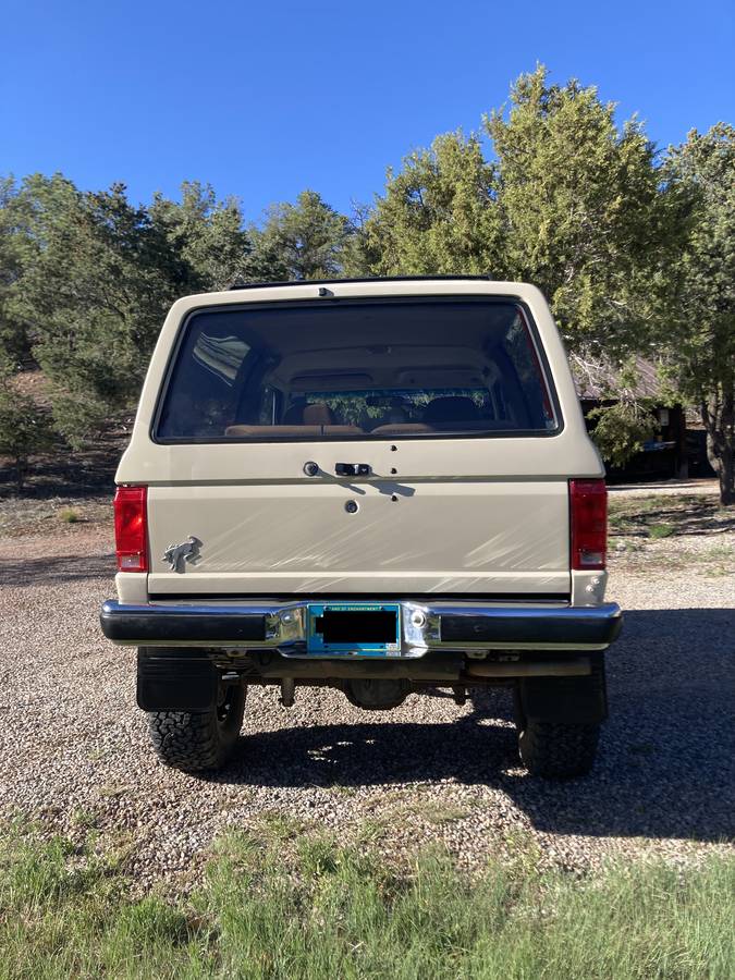 Ford-bronco-ii-eddie-bauer-edition-1989-custom-4