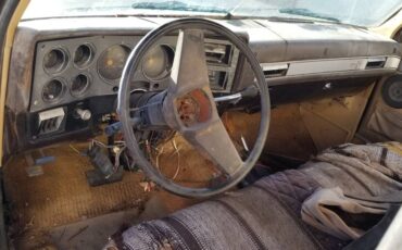 Ford-bronco-xlt-1984-12