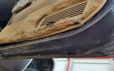 Ford-bronco-xlt-1984-7