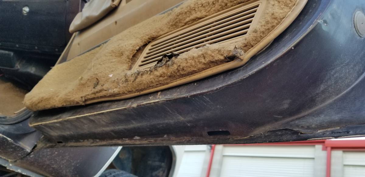 Ford-bronco-xlt-1984-7