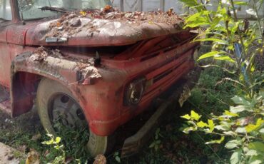 Ford-commercial-f-600-super-duty-1966-red-2