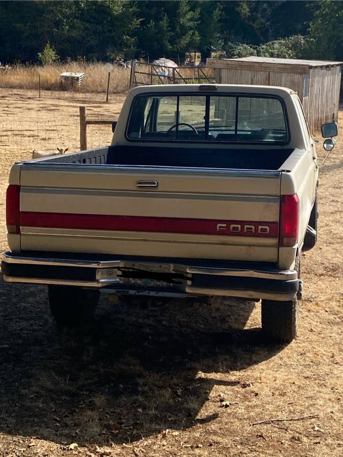 Ford-diesel-1991-white-2