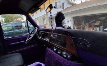 Ford-e250-econoline-1984-purple-5