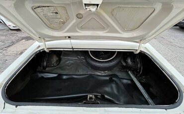 Ford-elite-1975-white-7