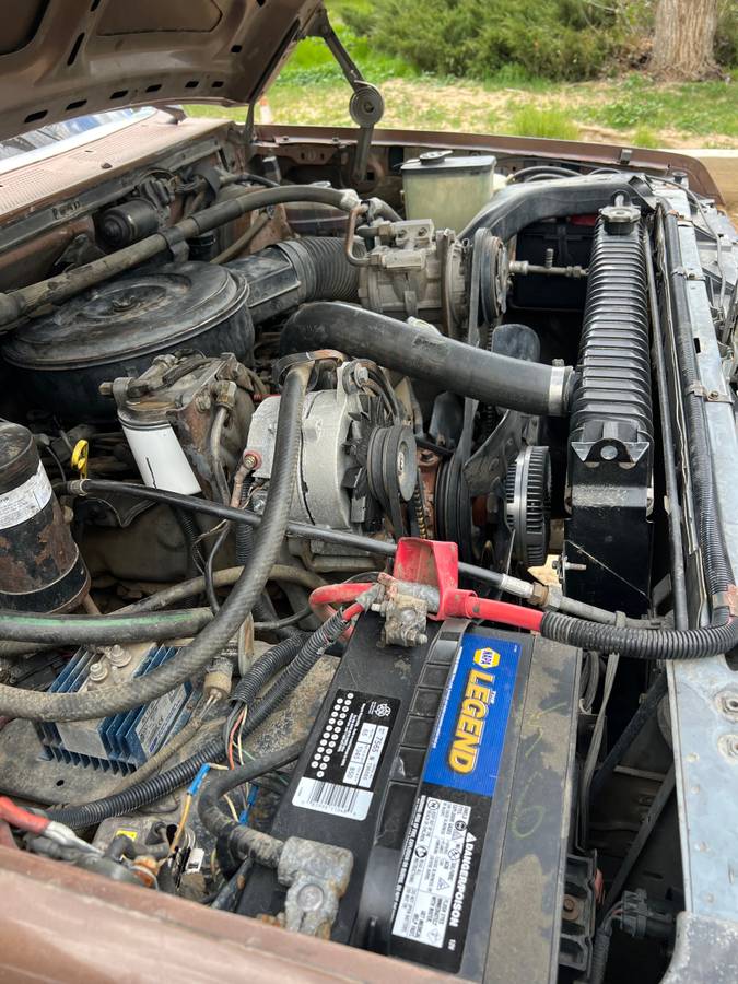 Ford-escape-diesel-1990-brown-13